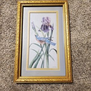 Iris and eastern bluebird framed print